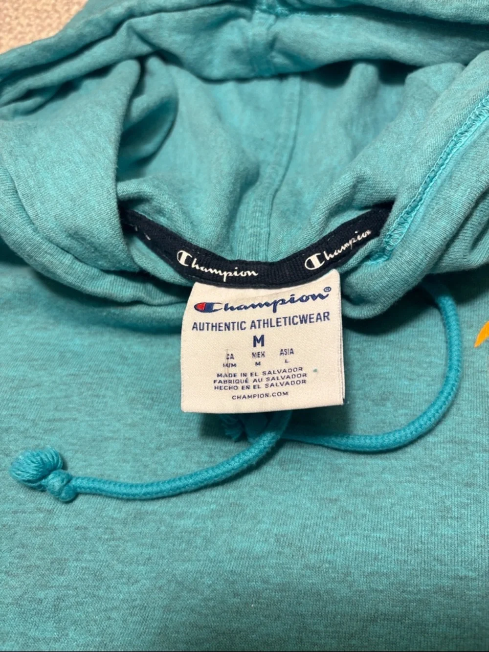 Champion Men's Hooded Pullover Sweatshirt - Teal with Orange Logo